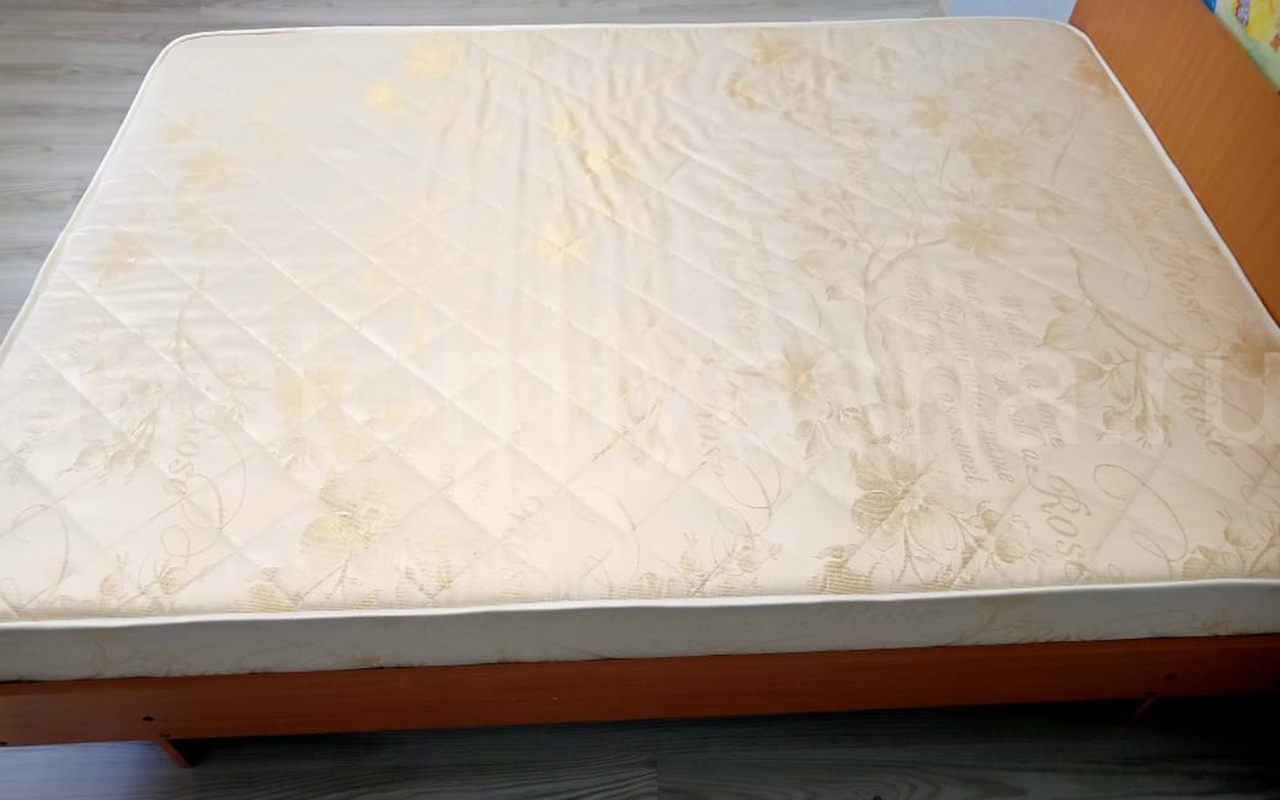 отзыв о Матрас Sontery by Askona Balance Status акция фото 4