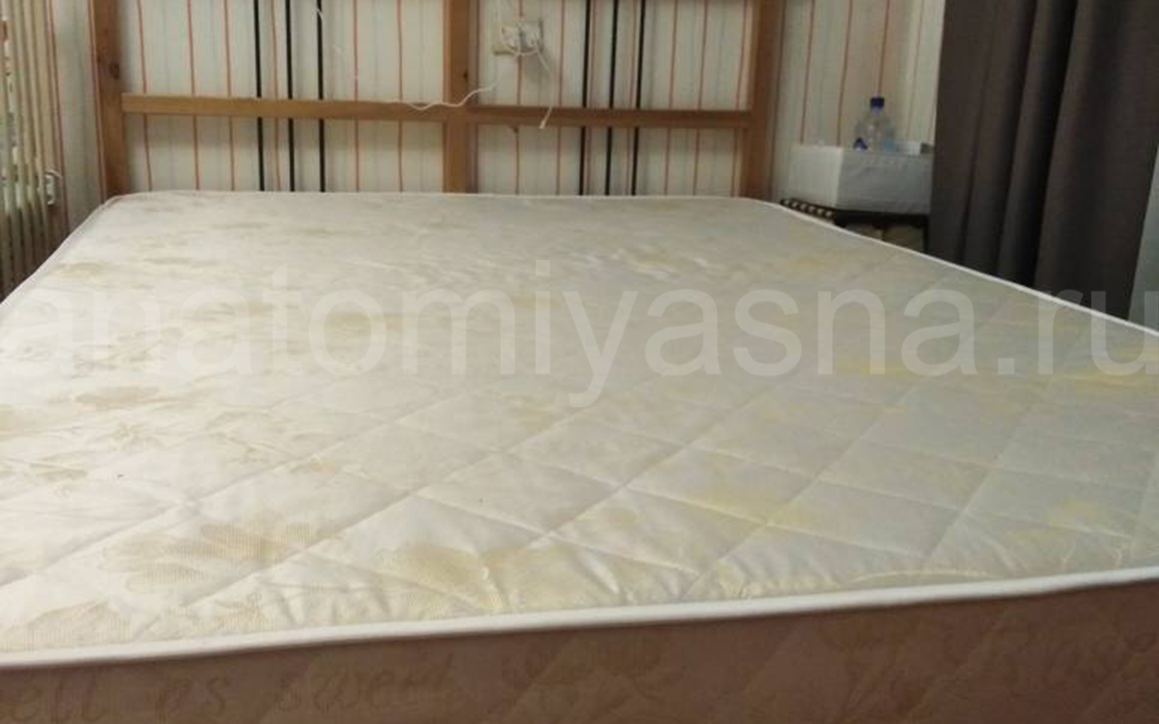 отзыв о Матрас Sontery by Askona Balance Status акция фото 7